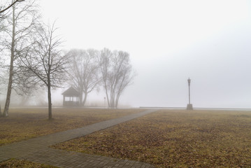 Mist,in park and torch