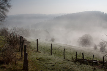 Landschaft im Morgennebel bei Sonnenaufgang