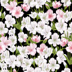 Beautiful alstroemeria on seamless background. Vector illustration.
