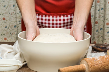 Hands kneading a dough with raisins in the bowl. It is ready for baking. Homemade pastries in the kitchen. Healthy eating lifestyle.