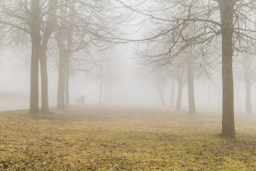 Mist,in park