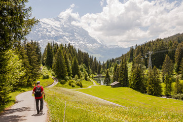 Fototapeta na wymiar Grindelwald, Berner Oberland, Alpen, Wanderweg, First, Bort, Waldspitz, Eiger, Schweizer Berge, Wanderer, Sommer, Schweiz