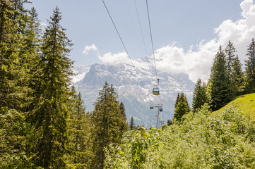 Grindelwald, Berner Oberland, Alpen, Schweizer Berge, Eiger, First, Bort, Wanderweg, Bergbahn, Sommer, Sommerwanderung, Schweiz