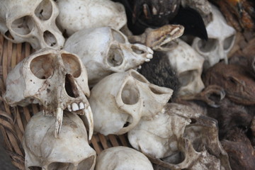 Skulls and Voodoo paraphernalia, Akodessawa Fetish Market, Lomé, Togo / This market is located in Lomé, the capital of Togo in West Africa and is is largest voodoo market in the world.
