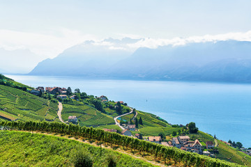 Fototapeta na wymiar Lavaux Vineyard Terrace Lake Geneva and Swiss mountains Switzerland