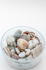 Stones and seashells in a vase on a white background. Reminder of the sea