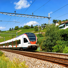 Naklejka premium Running train in Lavaux Vineyard Terrace hiking trail Switzerland