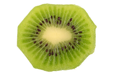 Fototapeta na wymiar Kiwi fruit on a white background