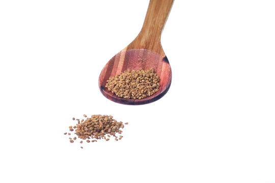 Fenugreek seeds on a brass spoon isolated on a white background.