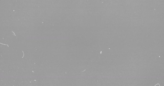 grey realistic flickering, analog vintage TV signal with bad interference, static noise background, overlay ready