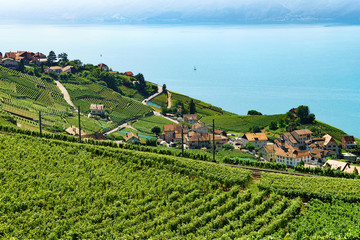 Fototapeta na wymiar Railway line Lavaux Vineyard Terraces Lake Geneva Switzerland