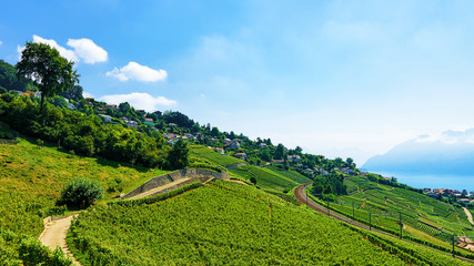 Fototapeta na wymiar Railway line Lavaux Vineyard Terraces Lake Geneva of Switzerland