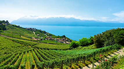Fototapeta na wymiar Railway line in Lavaux Vineyard Terraces Lake Geneva of Switzerland