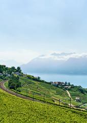 Fototapeta premium Railway line near Lavaux Vineyard Terraces Lake Geneva Switzerland