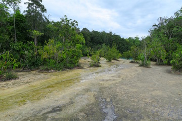 small river flowing in the forest