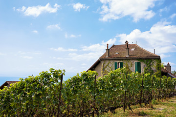 Chalet at Lavaux Vineyard Terrace hiking trail Switzerland