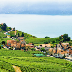 Countryside on Lavaux Vineyard Terraces hiking trail Switzerland