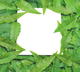 With paper card note is surrounded by leaves.