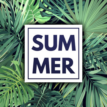 Green summer tropical background with exotic palm leaves and plants. Vector floral background.