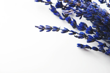 Fototapeta premium Lavender flower background on white background.