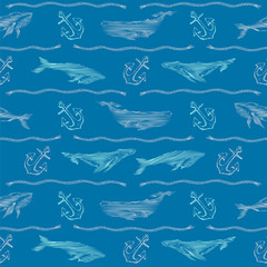 Obraz premium Whales, ropes and anchors on a blue background