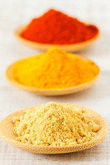 Oriental colorful mix of spices