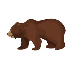 Large brown bear side view close-up graphic icon on white