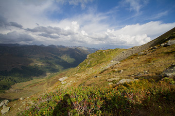 Fototapeta premium Summer mountain landscape of Abkhazia.