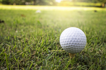 golf ball on grass