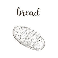 Bread loaf sketch illustration vector  lettering text