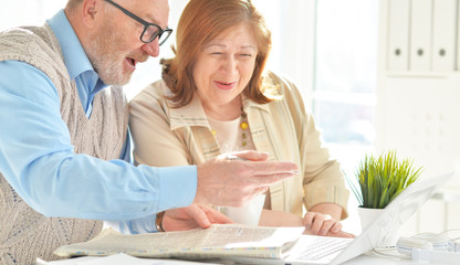 Elderly couple with a laptop