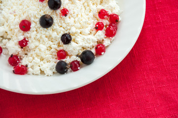 Homemade cottage cheese with red and black currants