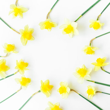 Yellow frame of narcissus on white background. Flat lay, top view. Floral background.