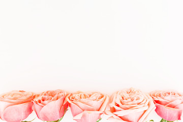 Floral background. Floral frame with pink buds on white background. Flat lay, top view.