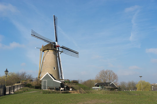 Windmill In Hoofddorp