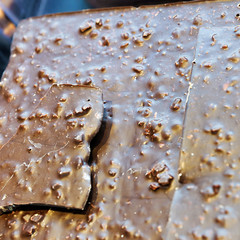 Selection of Swiss chocolate bars with walnuts