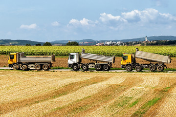 Trucks after doing agricultural seasonal work in field