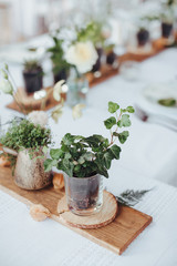 On a serving buffet table there are compositions of flowers and plants in glass and ceramic vases on wooden stands
