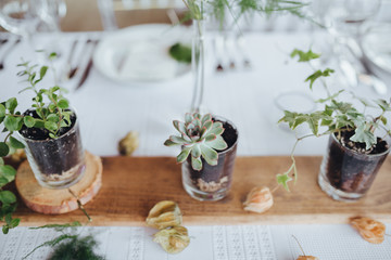 On a serving buffet table there are compositions of flowers and plants in glass and ceramic vases on wooden stands