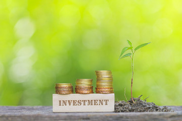 INVESTMENT WORD Golden coin stacked with wooden bar on shallow DOF green background.