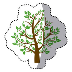 beautiful tree color icon, vector illustration design