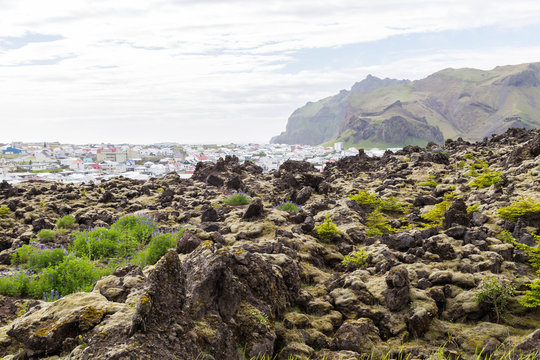 Blick auf Heimaey vom Vulkan Eldfell auf den Westmännerinseln, Island