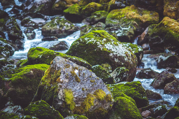 Naklejka na ściany i meble Waterfall in the forest with moss stones