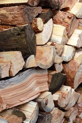 Pile of wood logs ready for winter, can be a timber background
