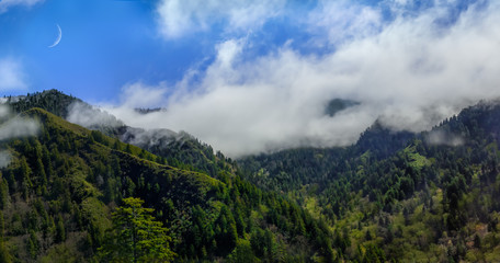 Fototapeta na wymiar smokey mountains valley