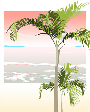 Tropical trees on the beach