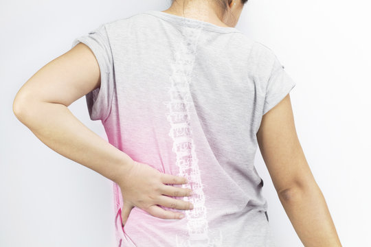 spine bones injury