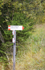 Wooden arrow, sign for hiking trail information to Gardeccia hut in Dolomites mountains, Italy, Europe
