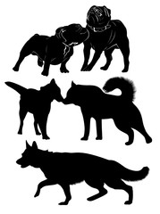 dogs. Dogs black silhouette isolated. Bulldog. pug. Shepherd. Like. Malamute