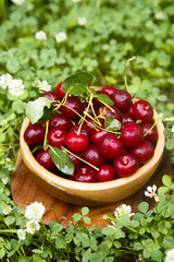 Fresh cherry in wooden bowl